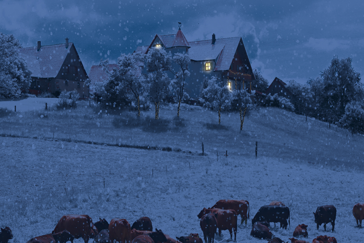 Regionaler Weihnachtsmarkt in Franken auf der Angus-Hill-Ranch