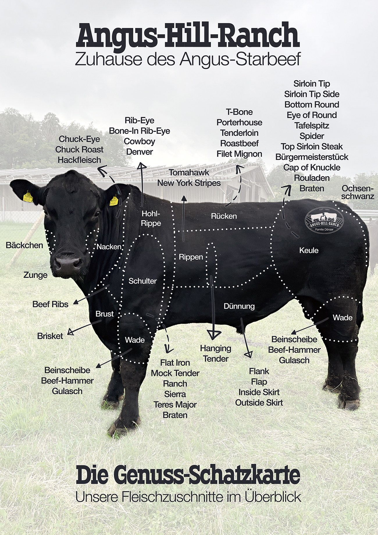 Metzger-Diagramm Angus Rind